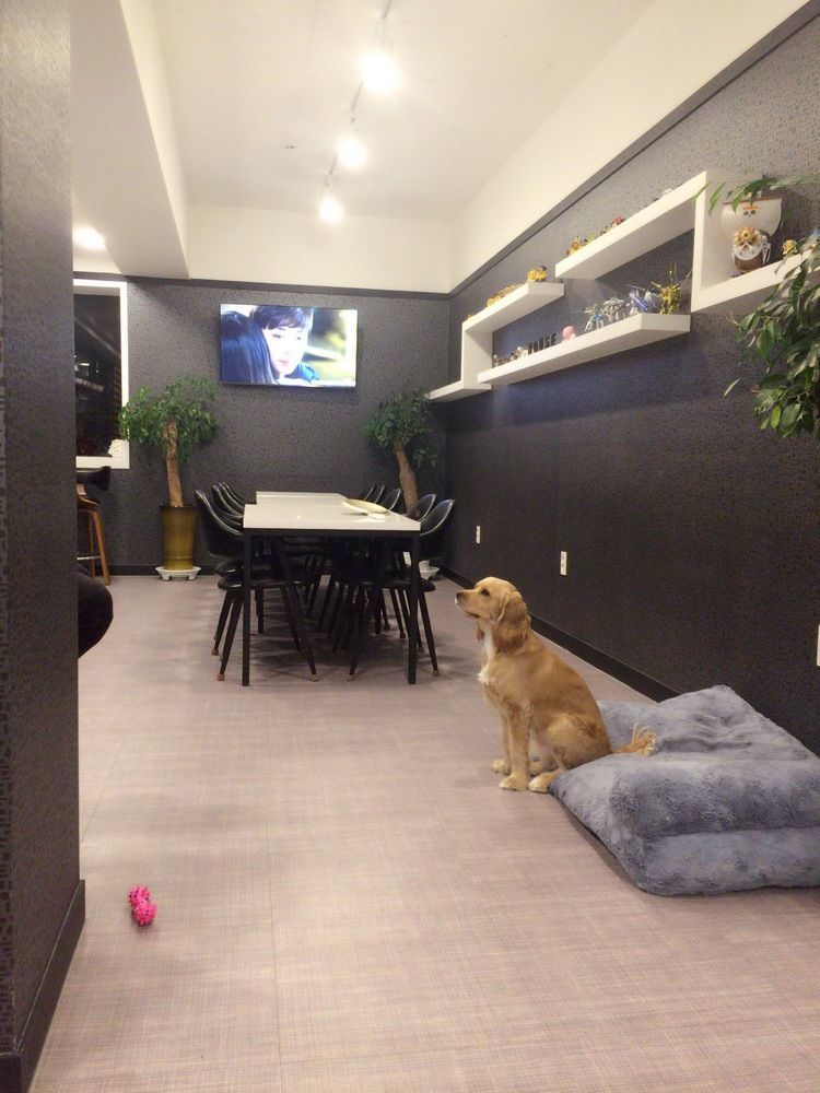 Mozzihostel Busan Station מראה חיצוני תמונה